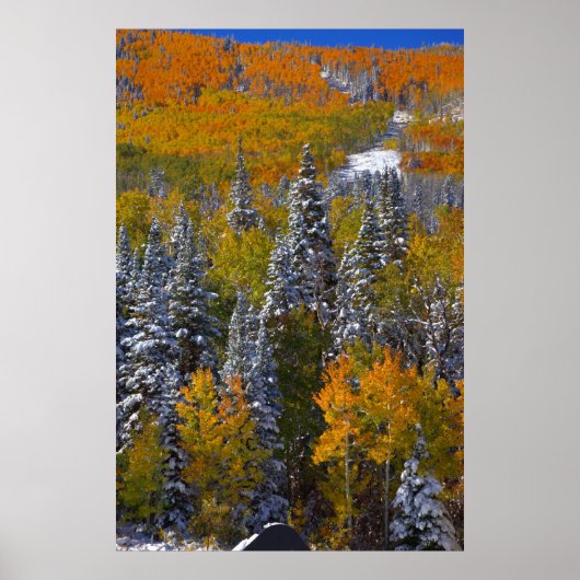 Colorado Herbst Poster (Vorne)