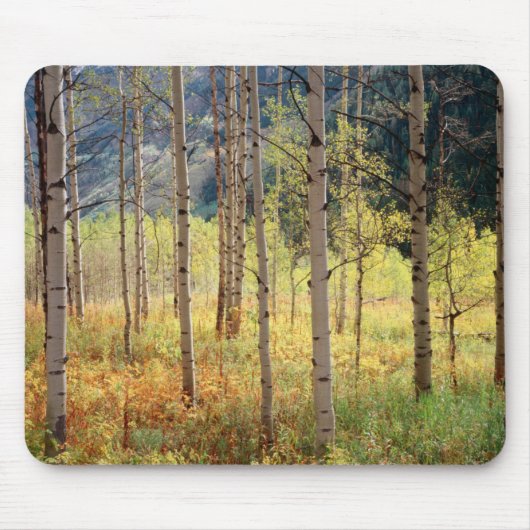 Colorado, Herbstfarben von Aspen Mousepad (Vorne)