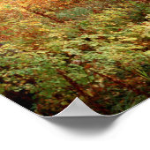 Colorado, Herbstfarben von Aspen Poster (Ecke)