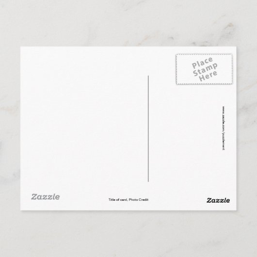 Colorado Hookless Cactus Postkarte (Rückseite)