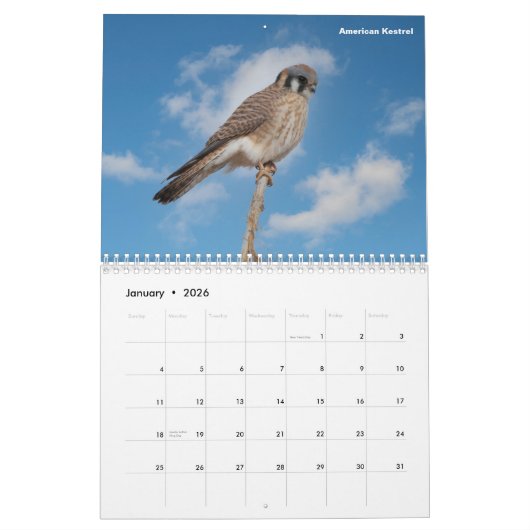 Colorado-Kalender Kalender (Jan 2026)