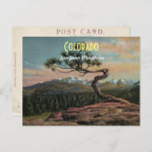 Colorado-Karte Postkarte (Vorne/Hinten)