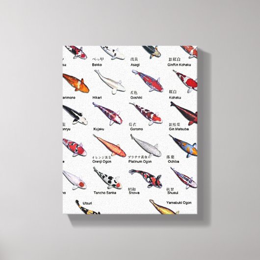 Colorado Koi Fisch Sorten Nishikigoi Leinwanddruck (Vorderseite)