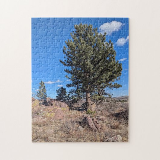 Colorado-Landschaft entlang des Flatirons Trail Puzzle (Vertikal)