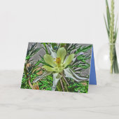 Colorado landschaftliche Grußkarte Karte (Rückseite)