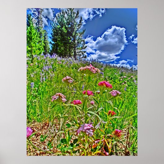 Colorado landschaftliche Leinwand Poster (Vorne)