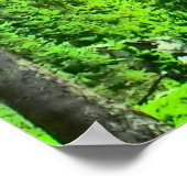 Colorado landschaftliche Leinwand Poster (Ecke)
