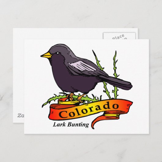 Colorado Lark Postkarte (Vorne/Hinten)