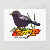 Colorado Lark Postkarte (Vorderseite)