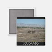COLORADO Magnet (Vorderseite/Rückseite)