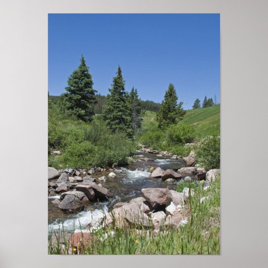 Colorado Mountain Stream Poster (Vorne)