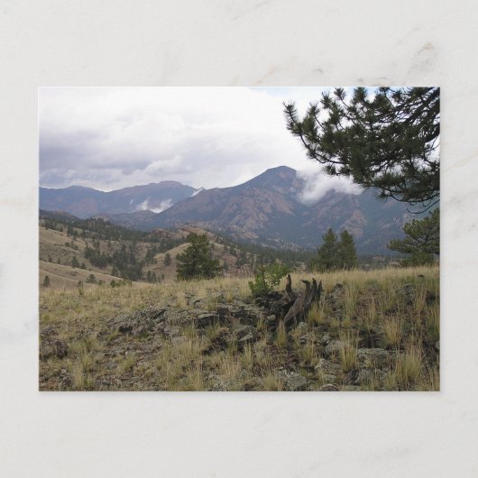Colorado Mountains Postcard Postkarte (Vorderseite)
