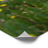 Colorado Mountains Poster (Ecke)