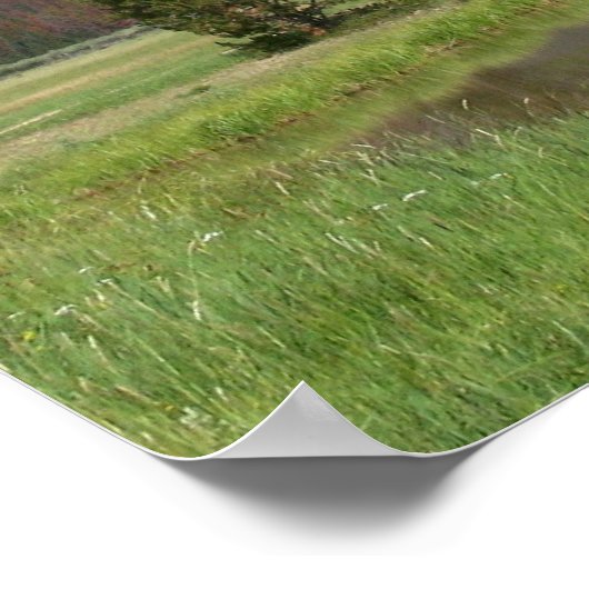 Colorado Mountains Poster (Ecke)