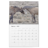 Colorado-Mustang-Kalender Kalender (Feb 2027)