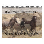 Colorado-Mustang-Kalender Kalender (Titelbild)