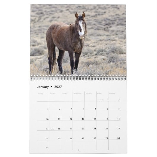 Colorado-Mustang-Kalender Kalender (Jan 2027)