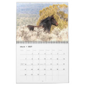 Colorado-Mustang-Kalender Kalender (Mär 2027)