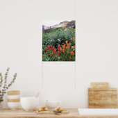 Colorado, Nationalwald der Uncompahgre Poster (Küche)