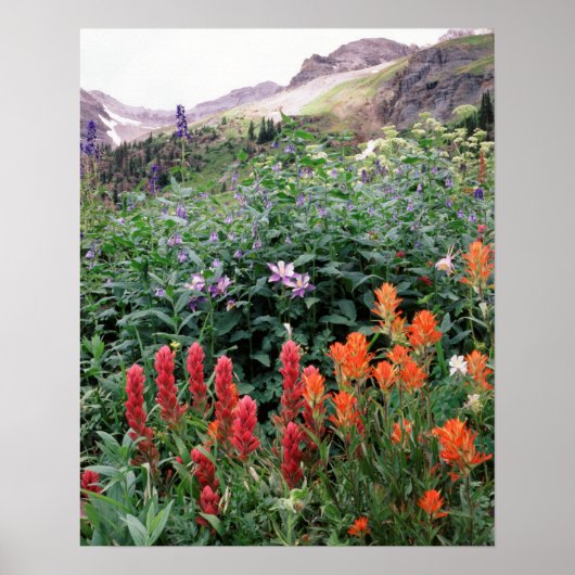 Colorado, Nationalwald der Uncompahgre Poster (Vorne)