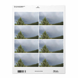 Colorado Nature Scene Shipping Labels