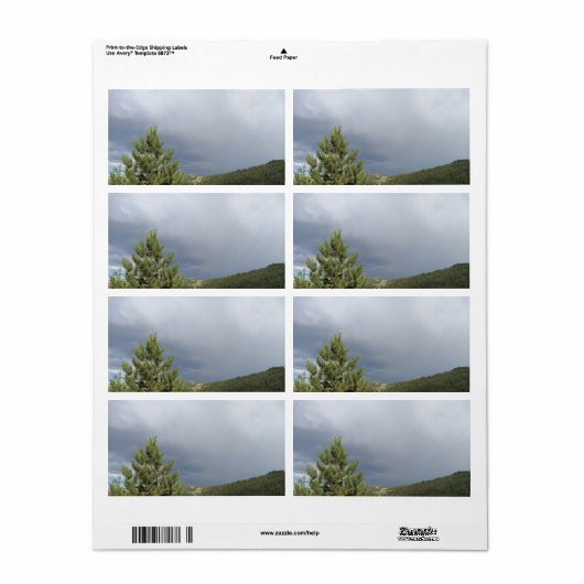 Colorado Nature Scene Shipping Labels (Vorne)