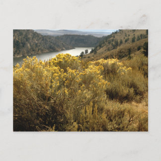 Colorado Pinacoteca comunale Casa Rusca Postkarte