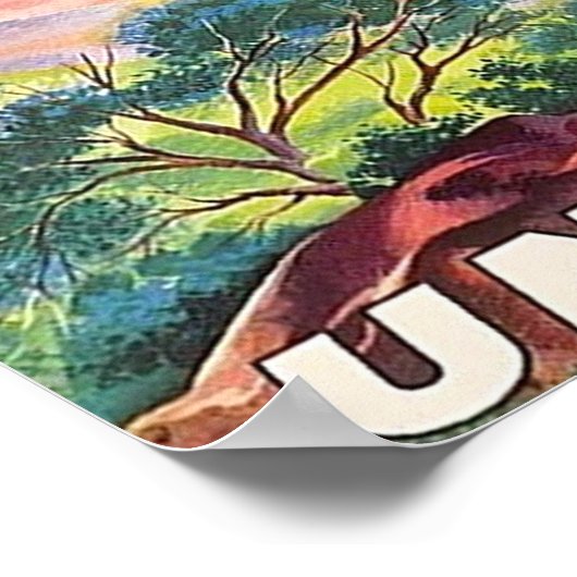 COLORADO POSTER (Ecke)