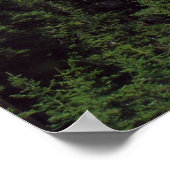 Colorado Poster (Ecke)