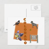 Colorado Postkarte (Vorne/Hinten)
