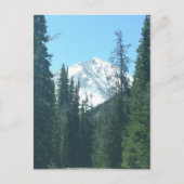 COLORADO POSTKARTE (Vorderseite)