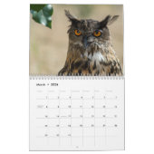 Colorado-Raubvogel-Kalender Kalender (Mär 2026)