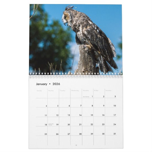 Colorado-Raubvogel-Kalender Kalender (Jan 2026)