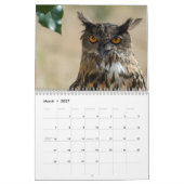 Colorado-Raubvogel-Kalender Kalender (Mär 2027)