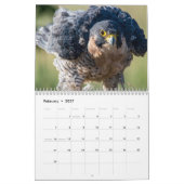 Colorado-Raubvogel-Kalender Kalender (Feb 2027)