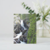 Colorado Rawah Falls Postkarte (Stehend Vorderseite)