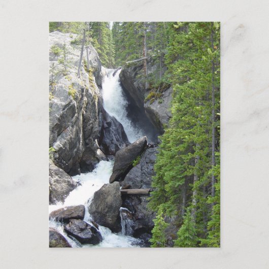 Colorado Rawah Falls Postkarte (Vorderseite)