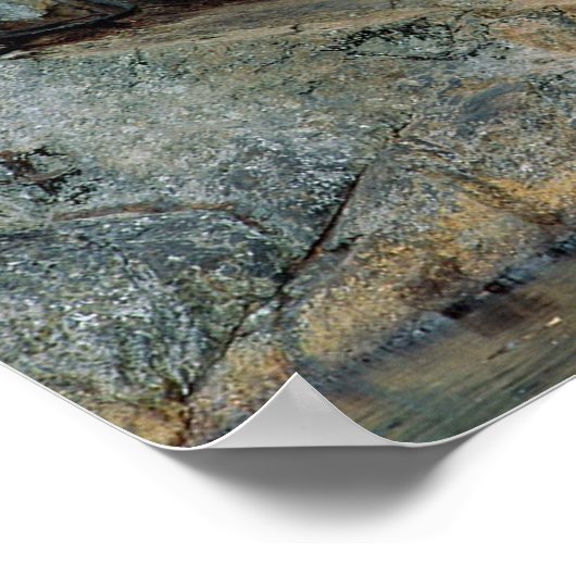 Colorado River Falls Poster (Ecke)