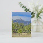 Colorado Rockies Postkarte (Stehend Vorderseite)