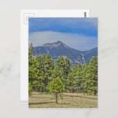 Colorado Rockies Postkarte (Vorne/Hinten)