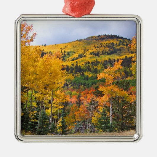 Colorado Rocky Mountains Aspen Trees Ornament Aus Metall (Vorne)