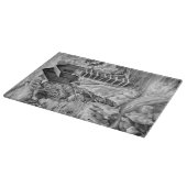 Colorado Rocky Mountains Fluss Crystal Mill Schneidebrett (Ecke)