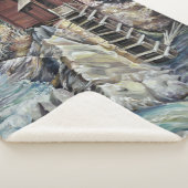 Colorado Rocky Mountains Fluss Crystal Mill Sherpadecke (3/4)