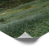 Colorado Rocky Mountains Panorama Poster (Ecke)