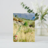 Colorado September Postkarte (Stehend Vorderseite)