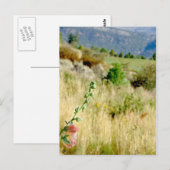 Colorado September Postkarte (Vorne/Hinten)