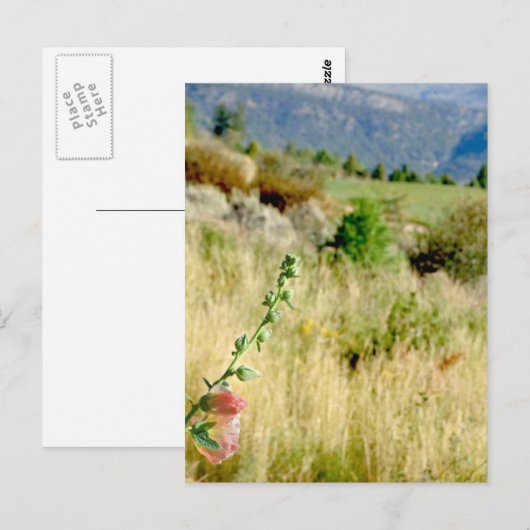 Colorado September Postkarte (Vorne/Hinten)