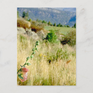 Colorado September Postkarte