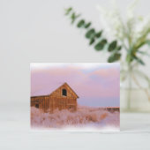 COLORADO SHED POSTCARD POSTKARTE (Stehend Vorderseite)