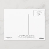 COLORADO SHED POSTCARD POSTKARTE (Rückseite)